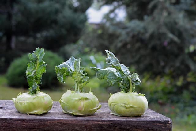 10 Easy DIY Ideas for Transforming Your Garden Space